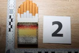 V brněnském Albertu inspektoři uzavřeli pekárnu, byla plná škůdců