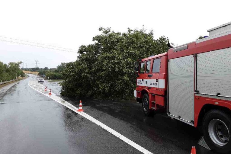 Léky použitelné k výrobě pervitinu