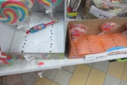 Honba za vltavíny nekončí. Českobudějovičtí psovodi od léta přistihli pětačtyřicet kopáčů