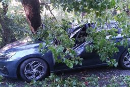 VIDEO: Odvážná dívka zadržela zloděje při útěku ze zlatnictví