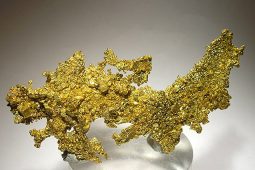 Řecký mýtus, který znáte od dětství, má překvapivě reálný základ. Chcete vědět, odkud se vzalo „zlaté rouno“?