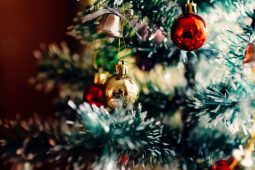 Přijďte se naladit na adventní čas. Rozsvícení vánočního stromu je za dveřmi