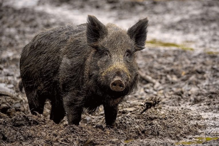 Foto: Město Český Krumlov