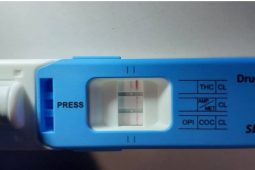 Z jedoucího auta se valil zajímavý dým. Ten přilákal strážníky