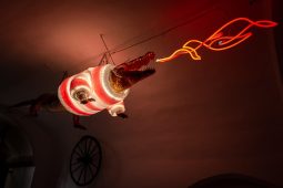 Brněnské vánoční trhy nabídnou draka ve svetru i výjimečné jídlo