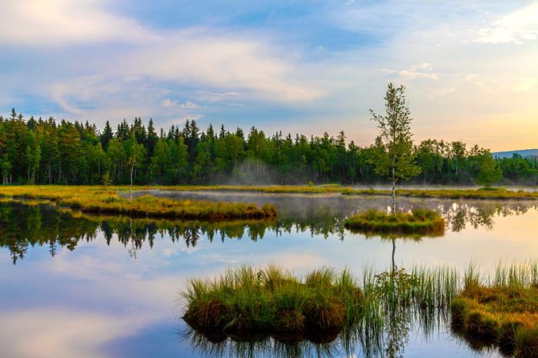 Horské jezero Laka v Národním parku Šumava. Zdroj: Shutterstock.com/Martin Lisner