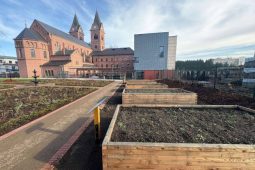 Proměna parku u Červeného kostela se blíží ke konci