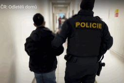 VIDEO: V Brně policisté kontrolovali tisíc cizinců 