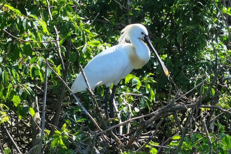 Foto: Jihočeský kraj