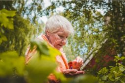 Falešný farář oklamal seniorku z Náchodska. Přišla o 400 tisíc korun