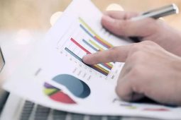 Recenze: Wood Seeds a seznam výhod proč u nich investovat