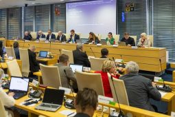 Advent přichází do Zlína. Místní části rozzáří vánoční stromky i tradice