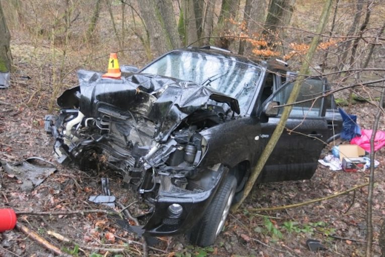 Řidič narazil do stromu