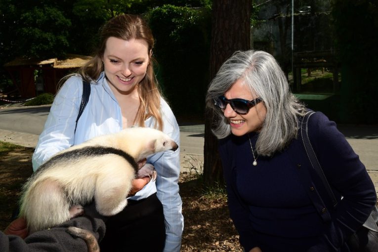 Brazilská velvyslankyně a mládě mravenečníka