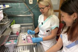 Méně papírování, více péče. Přerovští lékaři začínají diktovat místo psaní