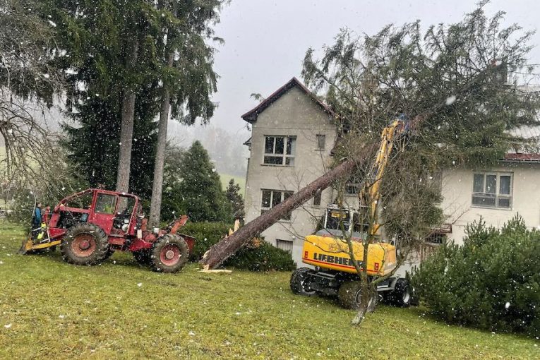 Na budovu školy spadl mohutný strom