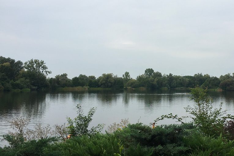 Přírodní koupaliště