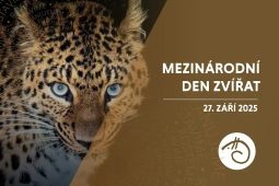Liberecká zoo zve na tradiční Den zvířat. Návštěvníky láká na pestrý program