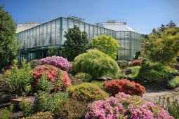 Botanická zahrada Liberec láká na podzimní přednášku, dýně i gigantickou lilii