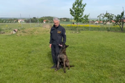 Z ulice až na světový trůn! Pražský policista a jeho pes se stali mistry světa