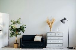 Hlavní město pomáhá Pražanům v bytové nouzi