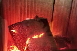 Rodinné domy, chaty, chalupy. Jak často si správně zvát kominíka