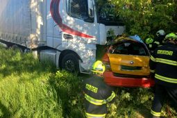 Jihočeští hasiči likvidují ptačí chřipku v bažantnici Radany