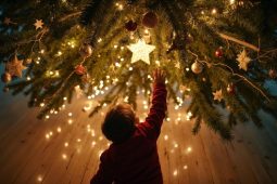 Už brzy se rozsvítí vánoční stromečky. Advent se rychle blíží