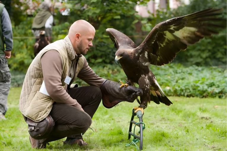 Opočno ožije sokolnickým setkáním: Tradice, příroda a umění lovu